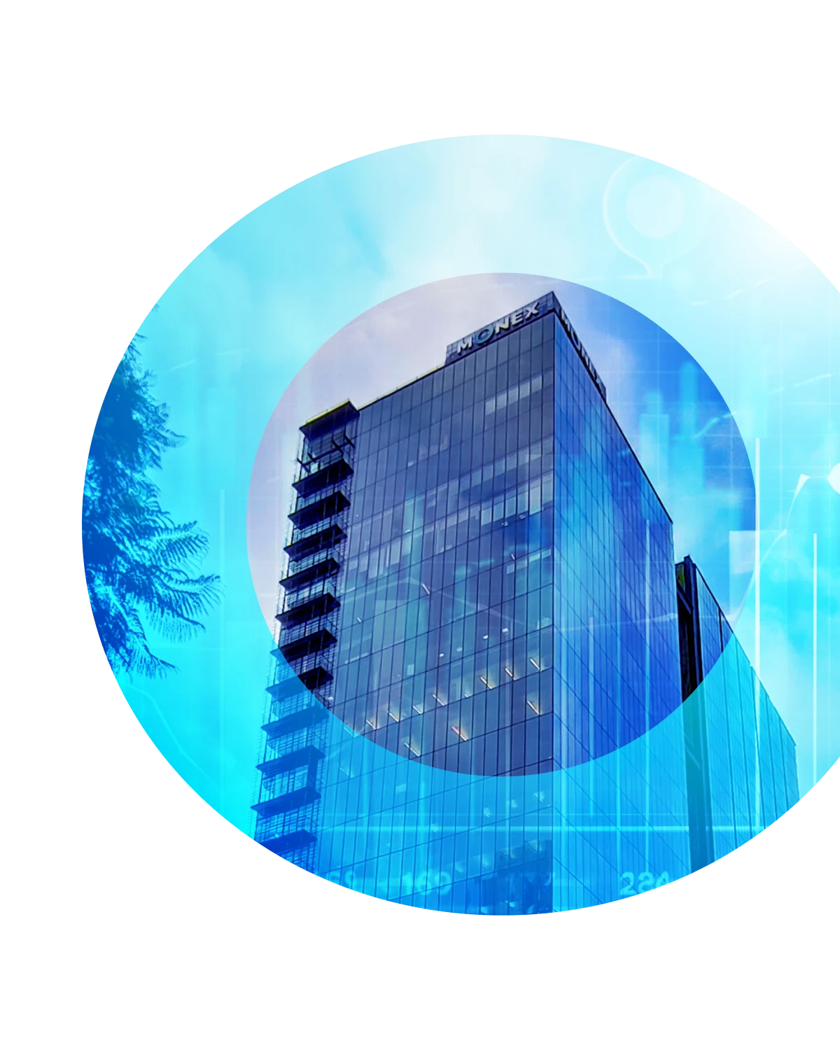 Persona a gusto con  el respaldo de un sólido Grupo Financiero como lo es Monex